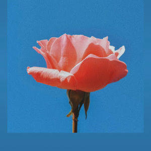 Meet your Posher, Mana